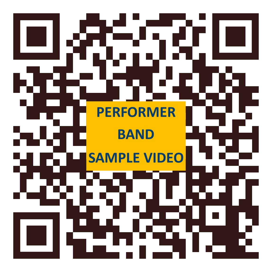 PERFORMER BAND SAMPLE VIDEO QR